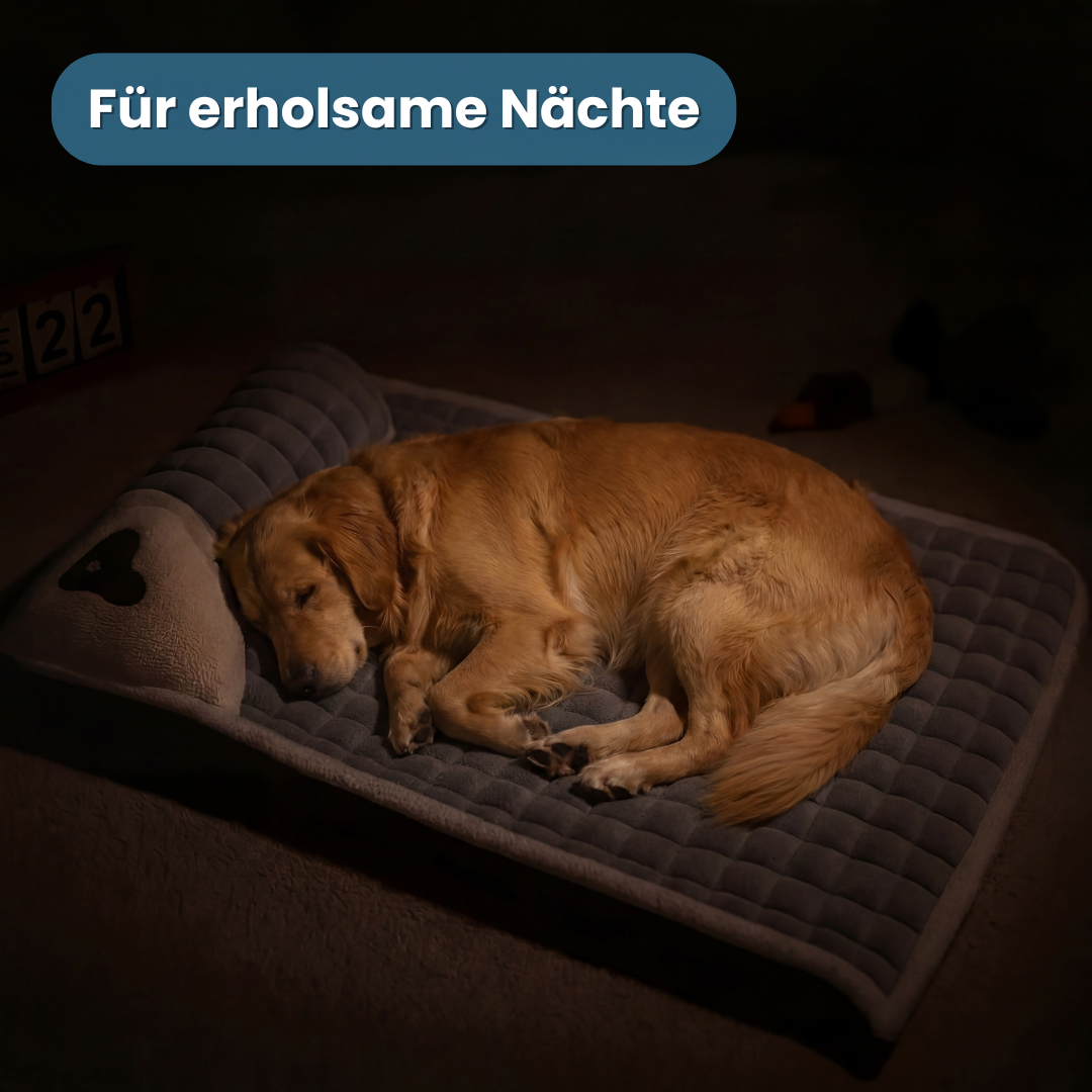 Dogtor Sleep | Orthopädisches Hundebett