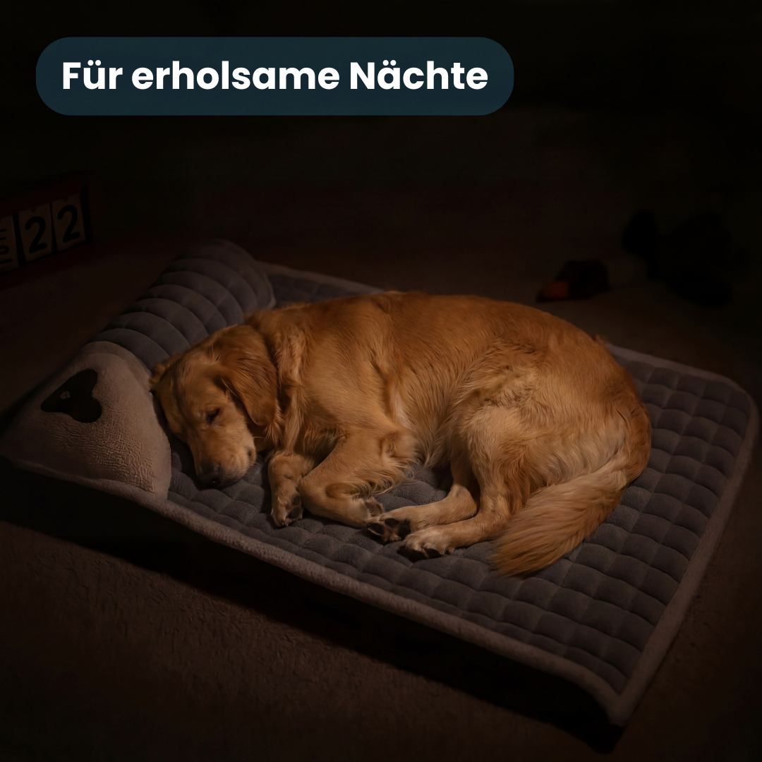 Dogtor Sleep | Orthopädisches Hundebett